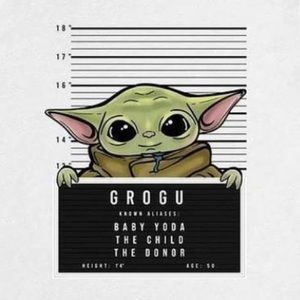 Meet your Posher, Roberto